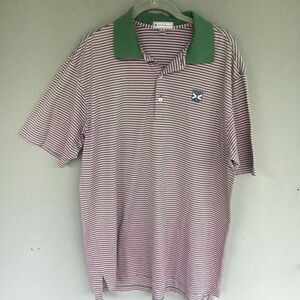 Peter Millar Polo Shirt Mens L Pink Green Stripe Cotton Golf Course Logo Resort